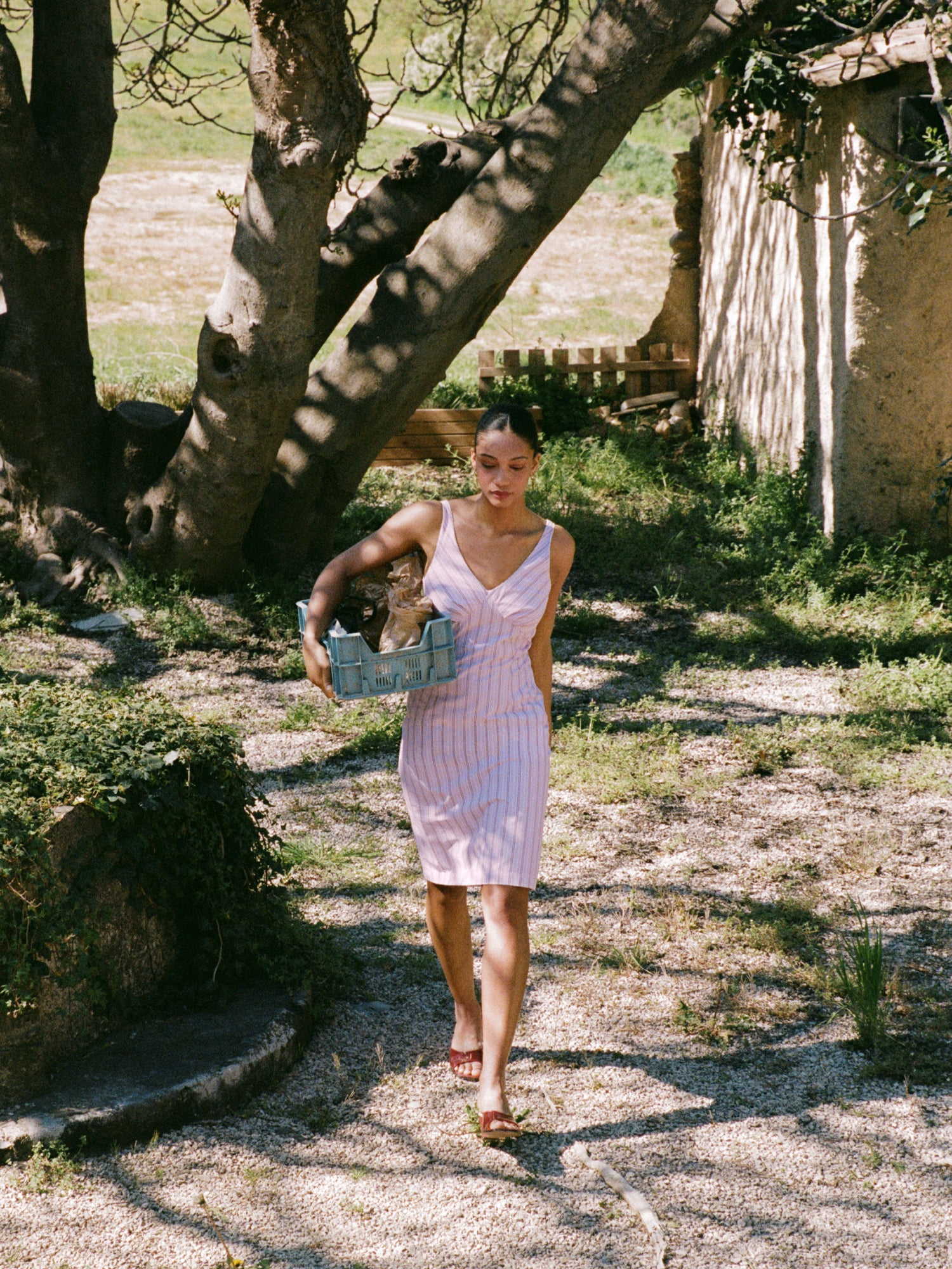 Miniature 2